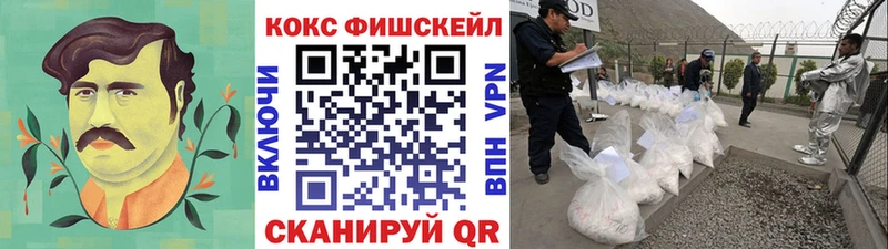 Купить закладки  Алдан  COCAIN FishScale 