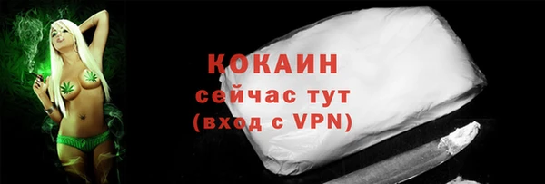 спайс Ладушкин