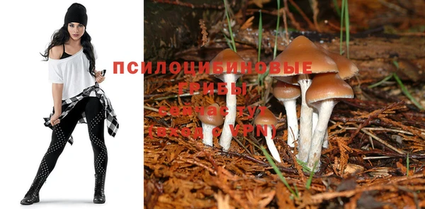 стаф Куйбышев