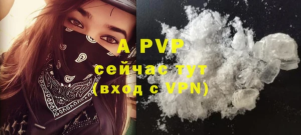 спайс Ладушкин