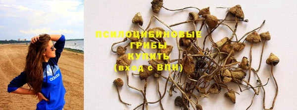 стаф Куйбышев