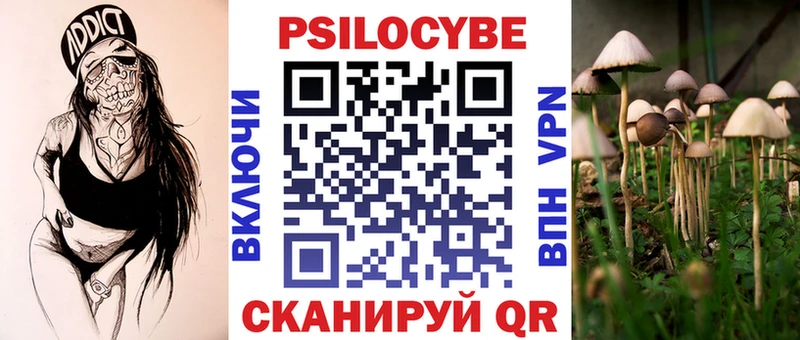 Купить Алдан Псилоцибиновые грибы Psilocybe